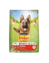 purina nestle Friskies ACTIVE 10kg - nr 5