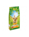 Karma PURINA NESTLE Friskies Balance - nr 4