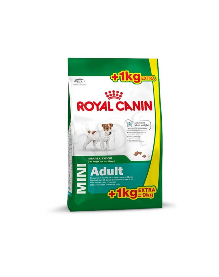 ROYAL CANIN SHN Mini Adult 8kg + 1kg główny