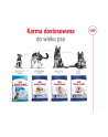 Karma Royal Canin Dog Food Maxi Adult (15 kg ) - nr 4