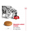 Karma Royal Canin Food Medium Adult (15 kg ) - nr 13