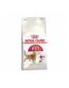 ROYAL CANIN Cat Food Fit 32 Dry Mix 4kg - nr 2