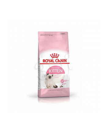 royal canin FHN Kitten 10 kg