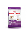 Karma Royal Canin Puppy Food Giant (15 kg ) - nr 1