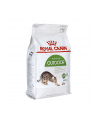 Karma Royal Canin FHN Outdoor (4 kg ) - nr 3