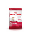 Karma Royal Canin SHN Medium Junior (4 kg ) - nr 1