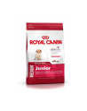 Karma Royal Canin SHN Medium Junior (4 kg ) - nr 2