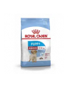 Karma Royal Canin SHN Medium Junior (4 kg ) - nr 6