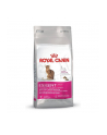 ROYAL CANIN Cat Food Exigent Savour Sensation 10kg - nr 1
