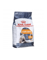 Karma Royal Canin FCN Hair&Skin Care (4 kg ) - nr 3