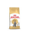 Karma Royal Canin FBN British Shorthair (4 kg ) - nr 2