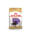 Karma Royal Canin SHN Breed Labrador Ster Ad (12 kg ) - nr 4