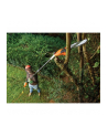 Pilarka łańcuchowa do cięcia gałęzi Black&Decker PS7525-QS - nr 17