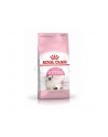 royal canin FHN Kitten 10 kg - nr 1