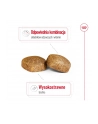 Karma Royal Canin SHN Giant Adult (15 kg ) - nr 11
