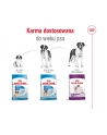 Karma Royal Canin SHN Giant Adult (15 kg ) - nr 2