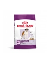Karma Royal Canin SHN Giant Adult (15 kg ) - nr 6