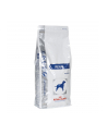 ROYAL CANIN Renal 2kgt - nr 2