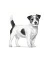 ROYAL CANIN Adult Small Dog Dental & Digest 4kg - nr 4