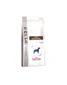 ROYAL CANIN Dog gastro intestinal 2 kg - nr 1