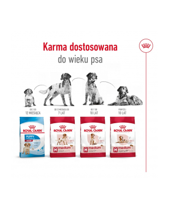 Karma Royal Canin SHN Medium Adult (15 kg )