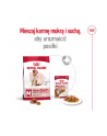 Karma Royal Canin SHN Medium Adult (15 kg ) - nr 8