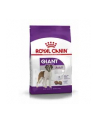 Karma Royal Canin SHN Giant Adult (15 kg ) - nr 13