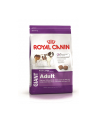 Karma Royal Canin SHN Giant Adult (15 kg ) - nr 1