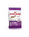 Karma Royal Canin SHN Giant Junior (15 kg ) - nr 1