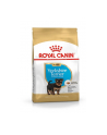 Karma Royal Canin BHN Yorkshire Terrier 29 Junior (1 50 kg ) - nr 3