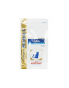 Karma Royal Canin VD Cat Renal Special (4 kg ) - nr 2