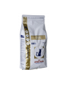 Karma Royal Canin VD Cat Fibre Response (2 kg ) - nr 2