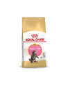 Karma Royal Canin Kitten Food Maine Coon 36 Dry Mix (10 kg ) - nr 3