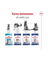 Karma Royal Canin SHN Maxi Adult (15 kg ) - nr 6