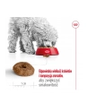 Karma Royal Canin SHN Mini Ageing (3 50 kg ) - nr 2