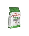Karma Royal Canin SHN Mini Ageing (3 50 kg ) - nr 7