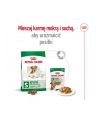 Karma Royal Canin SHN Mini Ageing (3 50 kg ) - nr 8