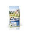 purina nestle Karma PURINA DOG CHOW ADULT LARGE BREED Indyk 14KG - nr 1