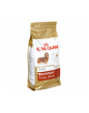 royal canin SHN Breed Dachshund 1 5 kg - nr 2