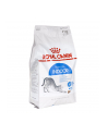 Karma Royal Canin Indoor (4 kg ) - nr 2