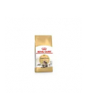 Karma Royal Canin FBN Maine Coon (2 kg ) - nr 3