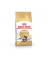 Karma Royal Canin FBN Maine Coon (10 kg ) - nr 4