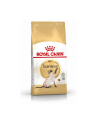 Karma Royal Canin FBN Siamese (2 kg ) - nr 1