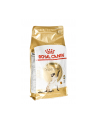 Karma Royal Canin FBN Siamese (2 kg ) - nr 2