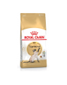 Karma Royal Canin FBN Siamese (2 kg ) - nr 3