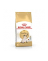 Karma Royal Canin FBN Siamese (2 kg ) - nr 4