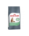 Karma Royal Canin FCN Hairball Care (0 40 kg ) - nr 1