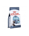 Karma Royal Canin FCN Hairball Care (0 40 kg ) - nr 2