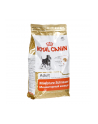 Karma Royal Canin SHN Breed Schnauzer (3 kg ) - nr 2