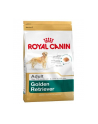 Karma Royal Canin Golden Retriever Adult (12 kg ) - nr 1